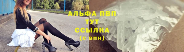 PSILOCYBIN Балахна