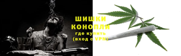 PSILOCYBIN Балахна