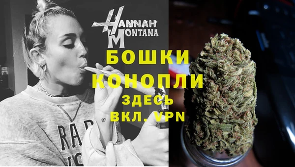 PSILOCYBIN Балахна