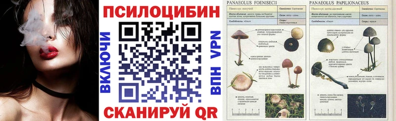 Псилоцибиновые грибы Magic Shrooms  хочу   Пыть-Ях 